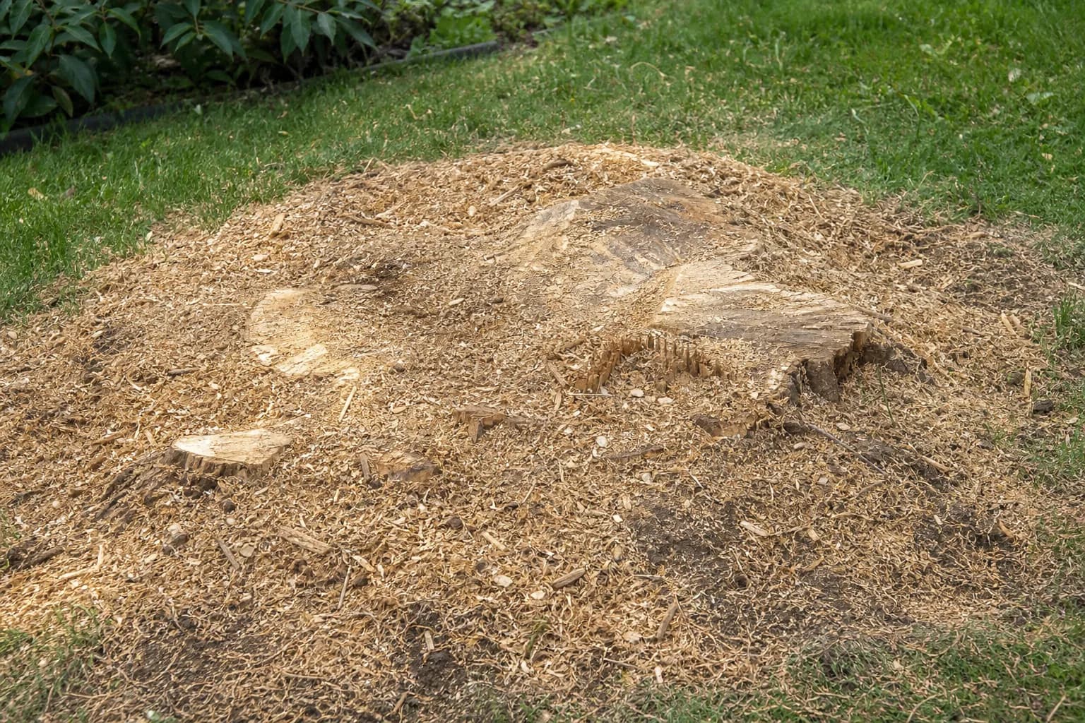 Stump Grinding in Cardiff
